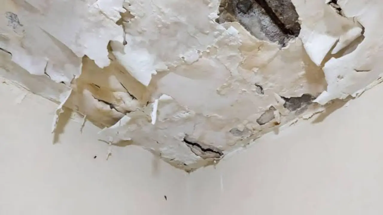 A ceiling corner with peeling paint and water stains after a leak