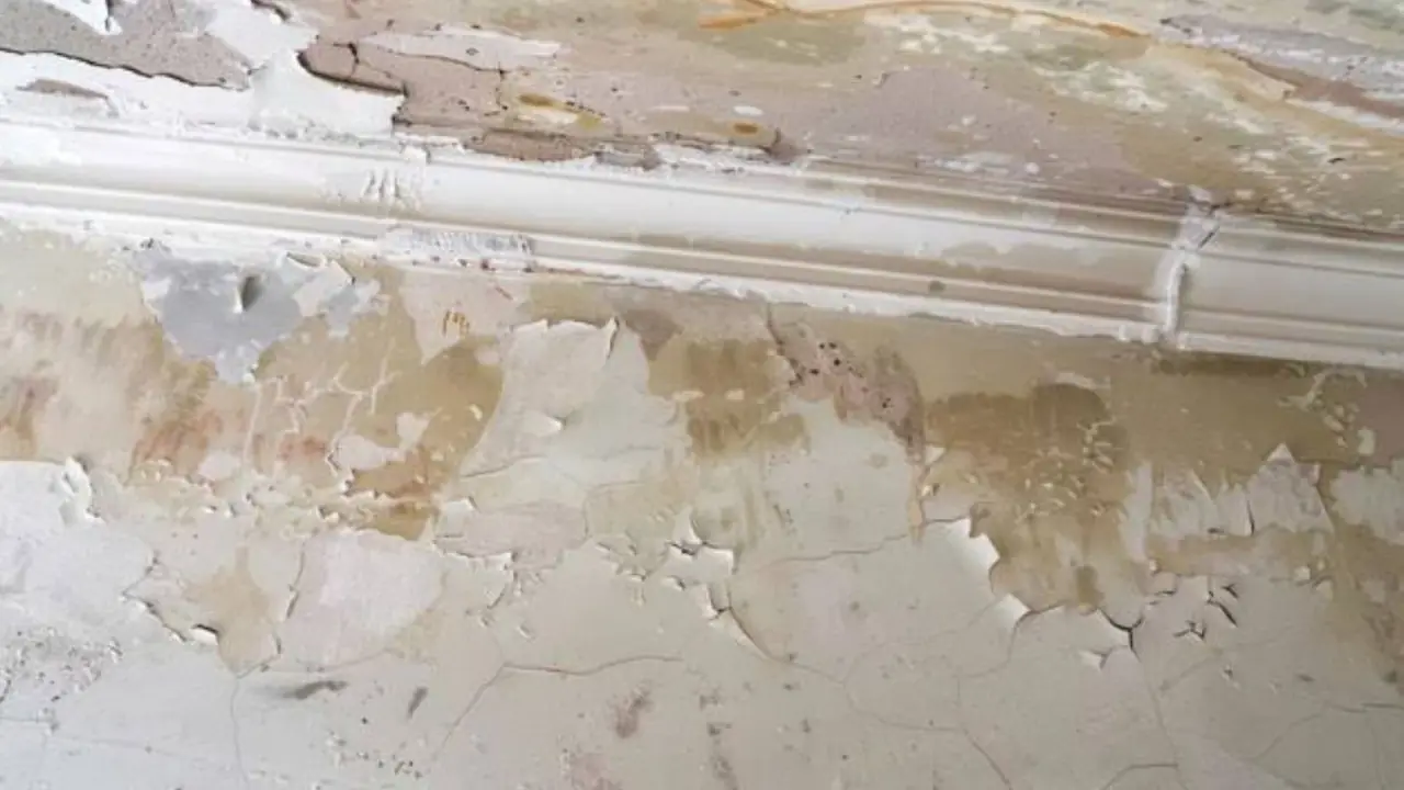 A wall with peeling paint and water staining that needs repair